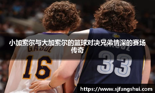 小加索尔与大加索尔的篮球对决兄弟情深的赛场传奇